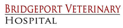 Bridgeport Vet Hospital: CT Animal Health Services, Pet Hospital in Connecticut, Veterinary Hospital in Bridgeport, Connecticut. Fairfield County Vet Hospital,  Fairfield County Veterinary.  Fairfield County Vet,  Fairfield County Vet Hospital